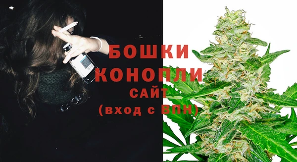 мет Касимов